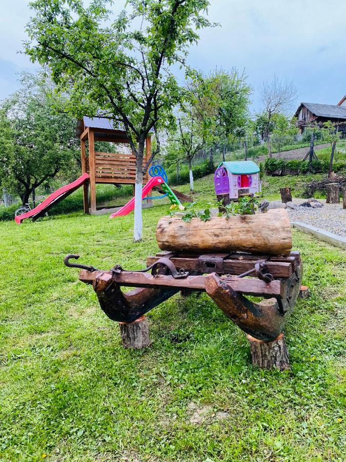 Pensiunea Casa Mariuca Văleni Extérieur photo