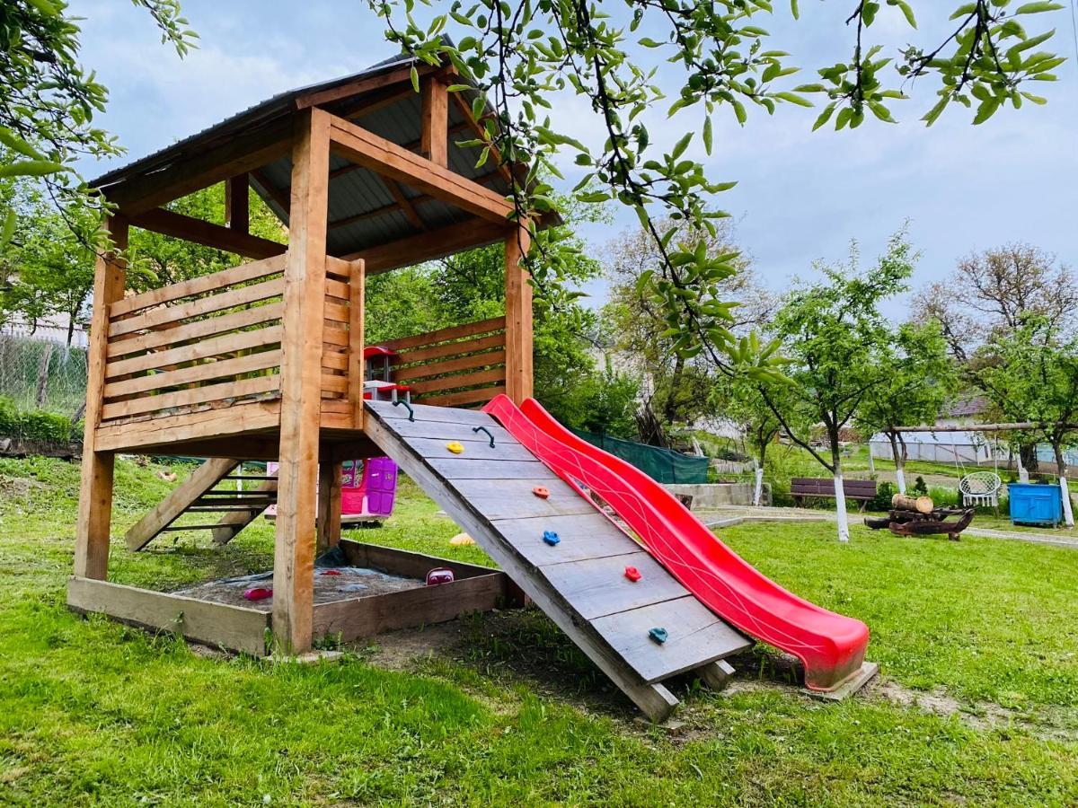 Pensiunea Casa Mariuca Văleni Extérieur photo
